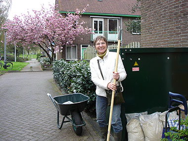 zaaien